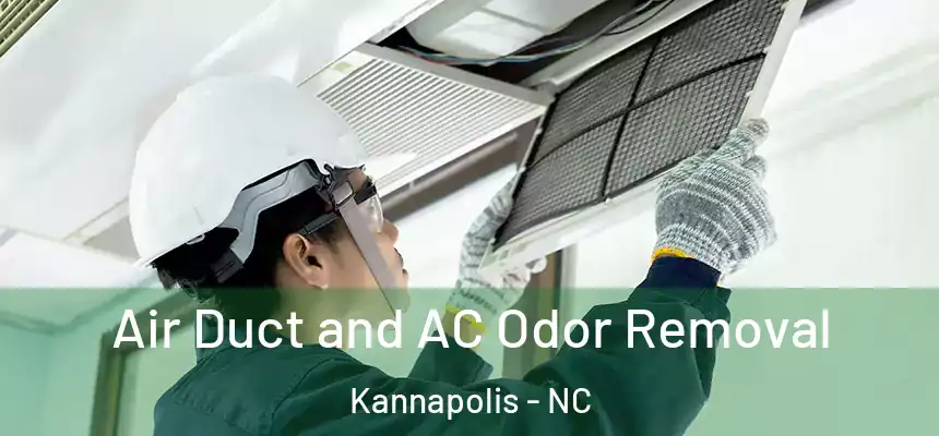  Air Duct and AC Odor Removal Kannapolis - NC