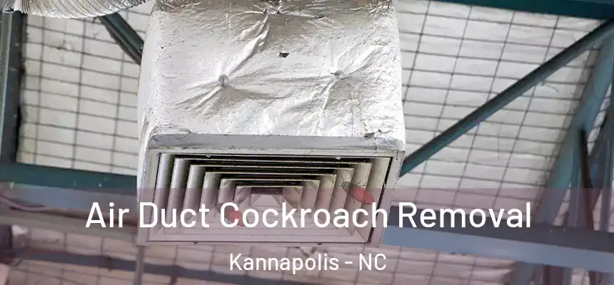 Air Duct Cockroach Removal Kannapolis - NC