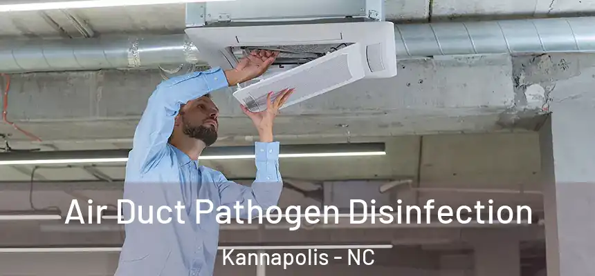 Air Duct Pathogen Disinfection Kannapolis - NC