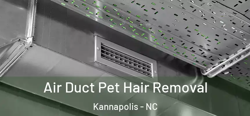 Air Duct Pet Hair Removal Kannapolis - NC