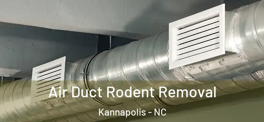 Air Duct Rodent Removal Kannapolis - NC