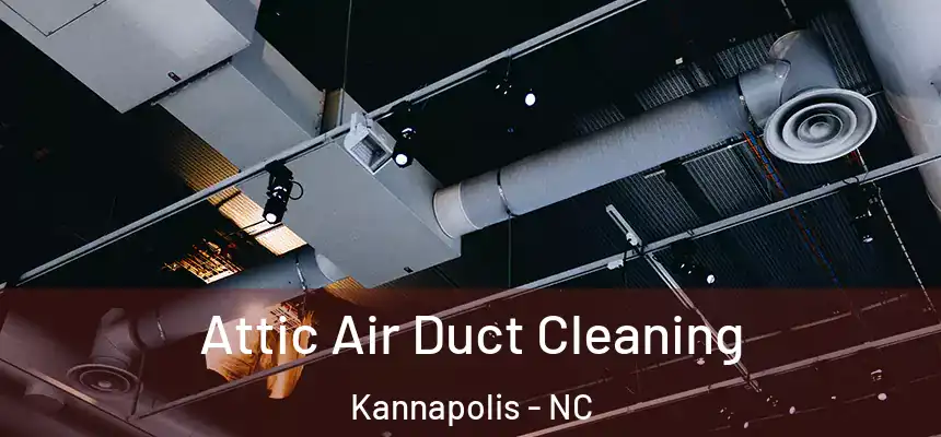  Attic Air Duct Cleaning Kannapolis - NC