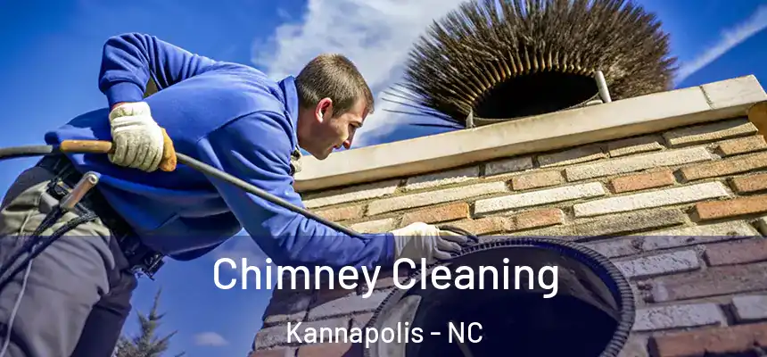  Chimney Cleaning Kannapolis - NC