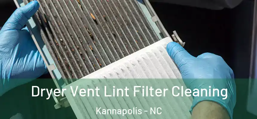 Dryer Vent Lint Filter Cleaning Kannapolis - NC