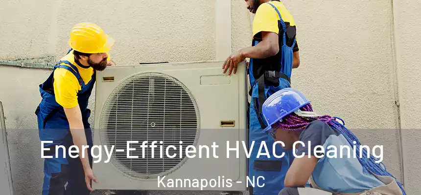  Energy-Efficient HVAC Cleaning Kannapolis - NC