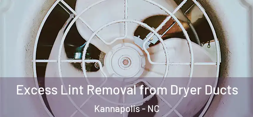  Excess Lint Removal from Dryer Ducts Kannapolis - NC