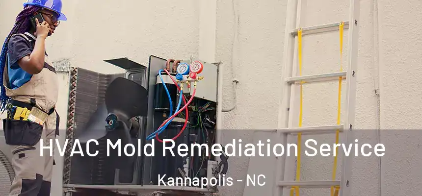  HVAC Mold Remediation Service Kannapolis - NC