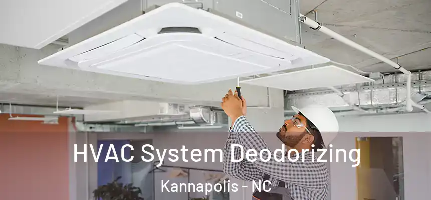HVAC System Deodorizing Kannapolis - NC