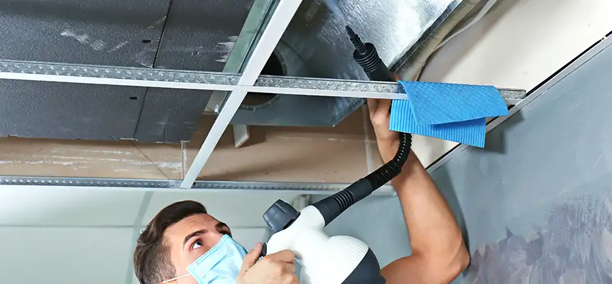 Our Air Duct Rodent Removal Services in Kannapolis, NC