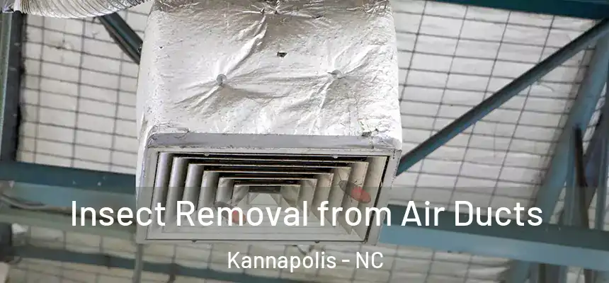 Insect Removal from Air Ducts Kannapolis - NC