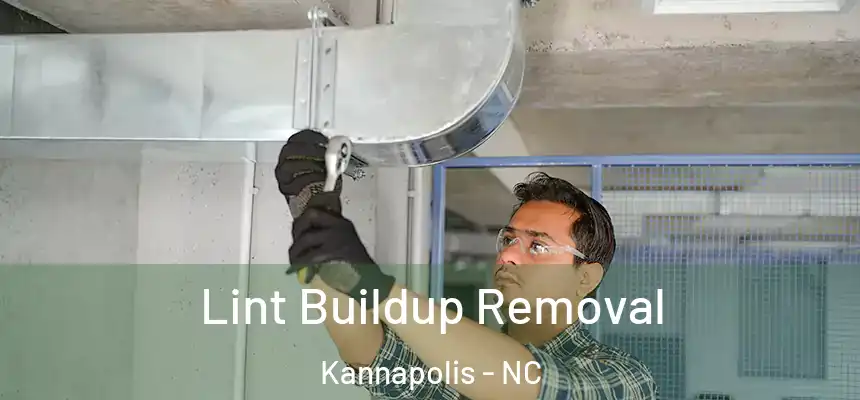 Lint Buildup Removal Kannapolis - NC