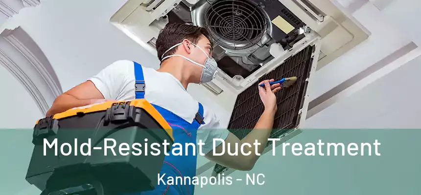 Mold-Resistant Duct Treatment Kannapolis - NC