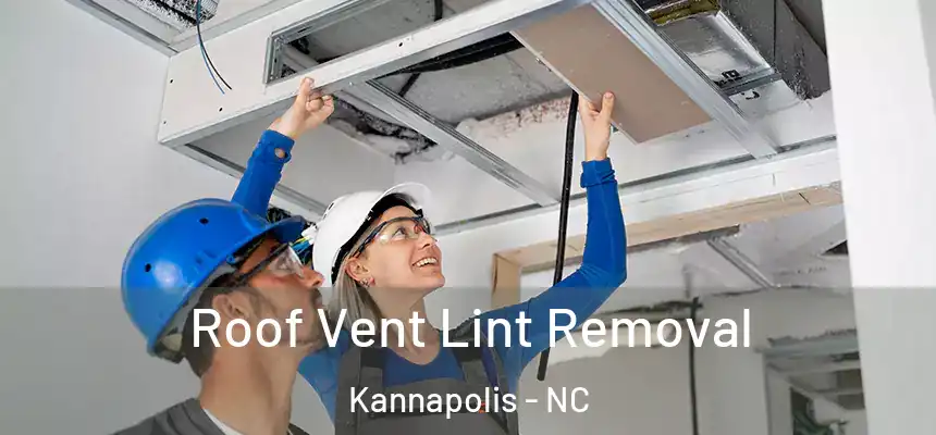  Roof Vent Lint Removal Kannapolis - NC