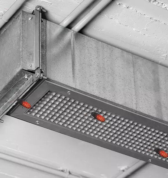 About Air Duct Cockroach Removal in Kannapolis, NC