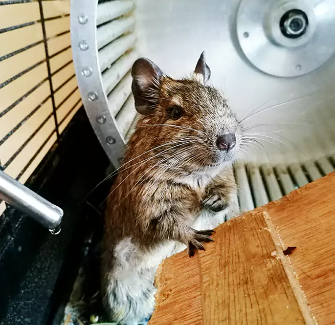 Why Homeowners & Businesses Trust Us Kannapolis, NC?