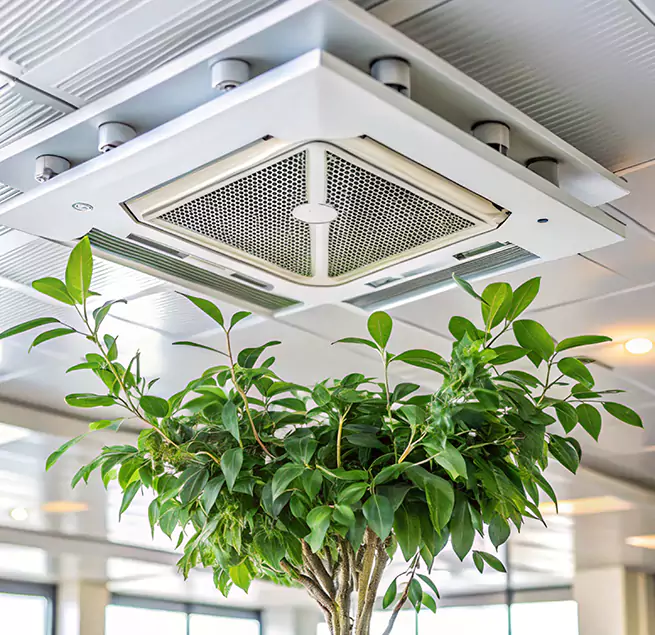 Why Homeowners & Businesses Trust Us in Kannapolis, NC?