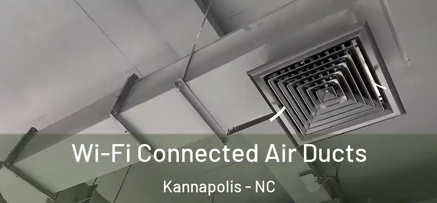 Wi-Fi Connected Air Ducts Kannapolis - NC